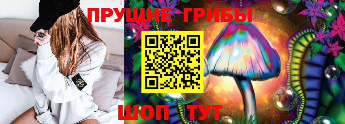 Псилоцибиновые грибы Psilocybine cubensis Котлас